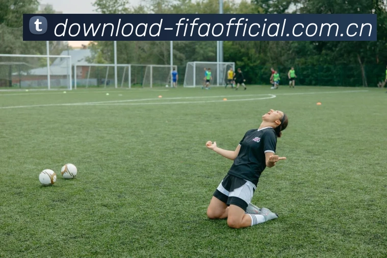 FIFA官方数据授权认证